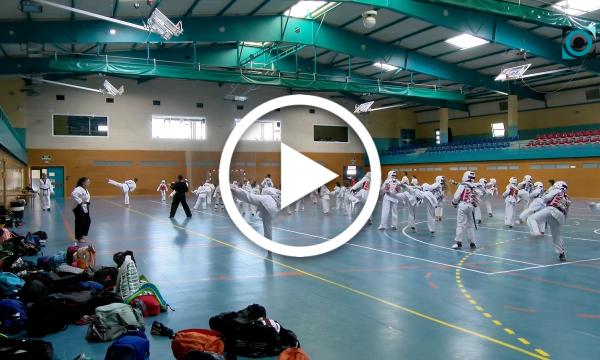 Prop de 50 infants i joves participen de la Jornada de Tecnificació de la pretemporada de Taekwondo