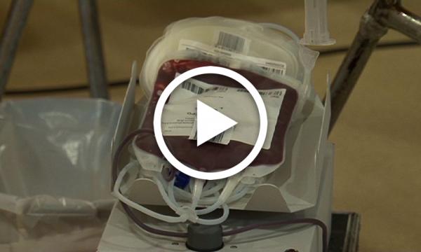 Donacions de sang a la Selva del Camp